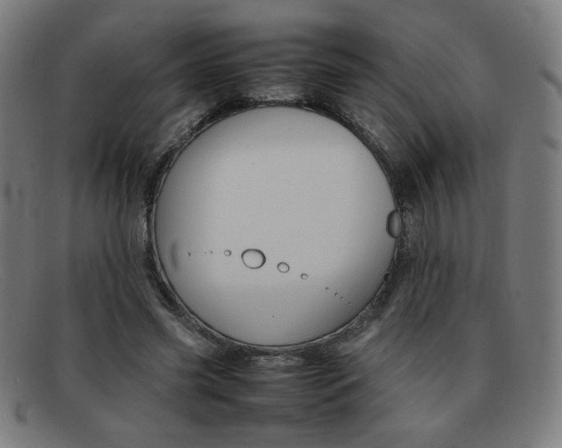 X0000092100541200709121112