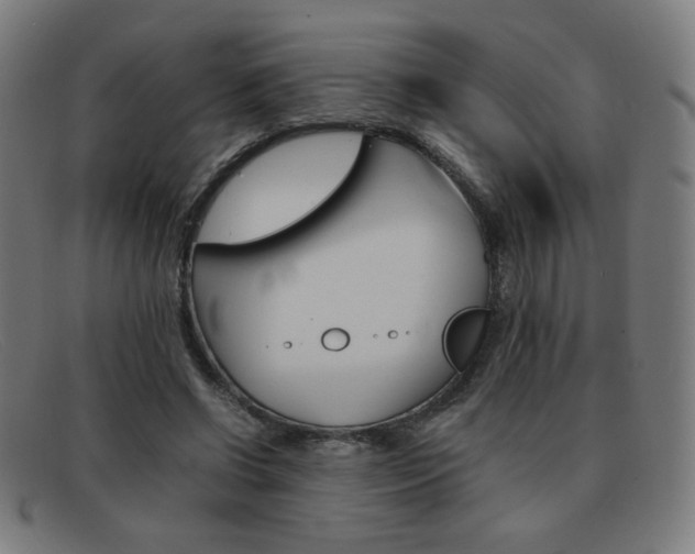 X0000092100542200709121112