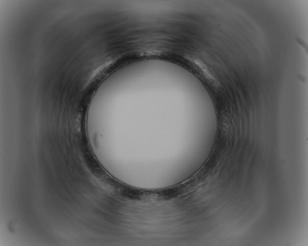 X0000092100543200709121112