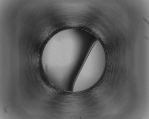 X0000092100544200709121112