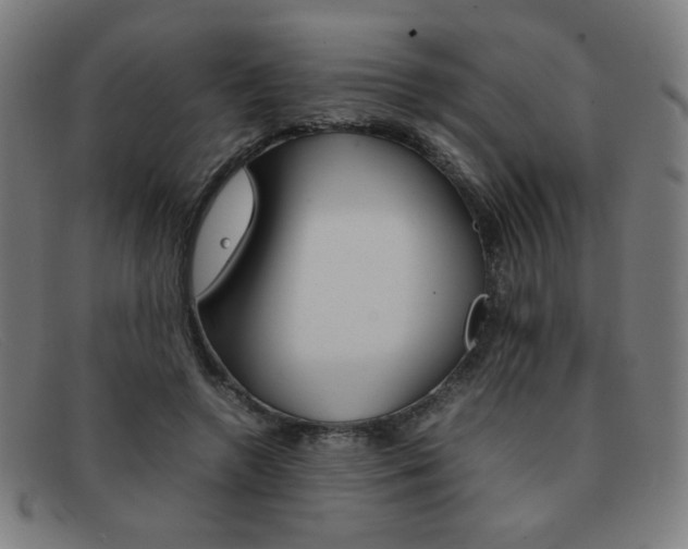 X0000092100546200709121112
