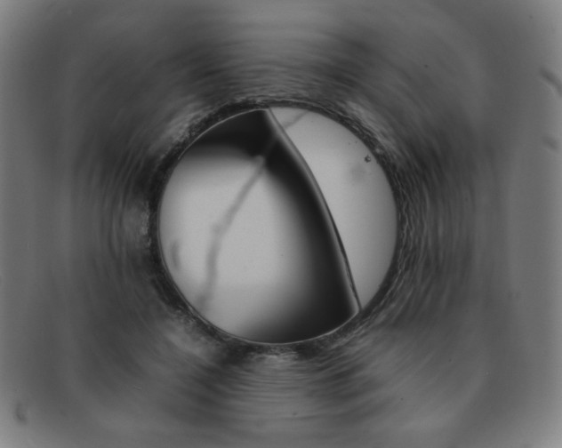 X0000092100548200709121112