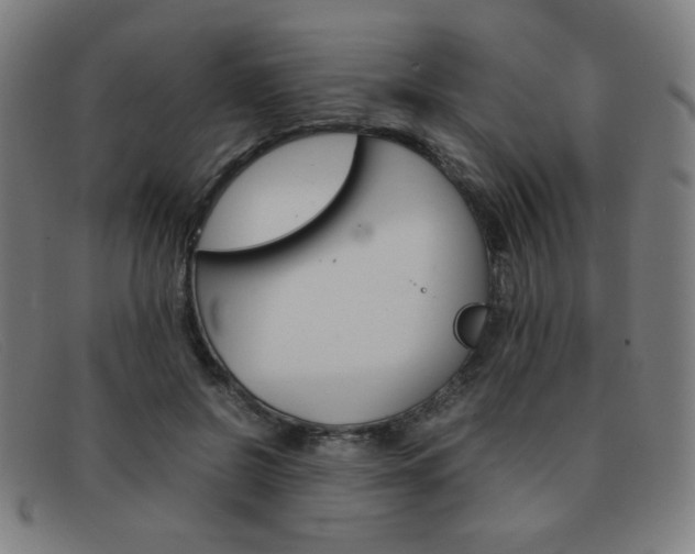 X0000092100550200709121112