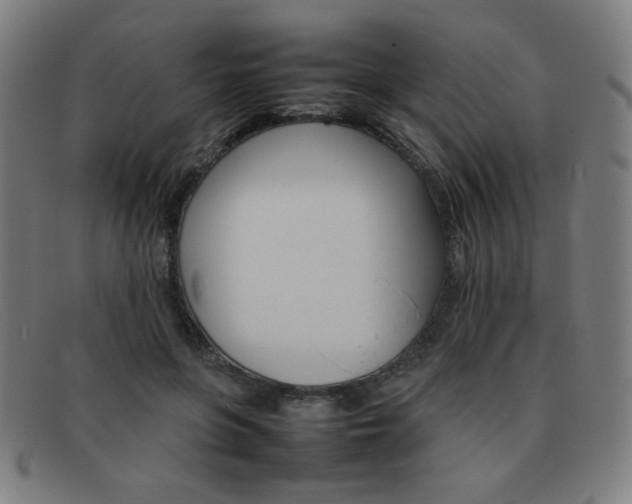 X0000092100551200709121112