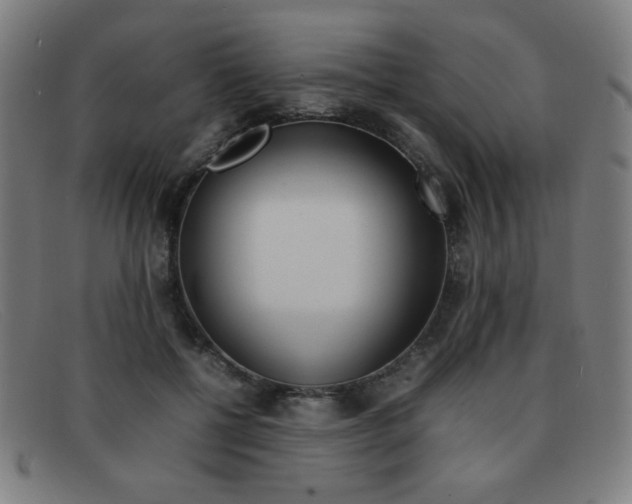 X0000092100552200709121112