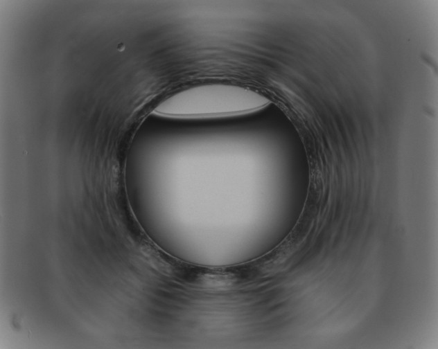 X0000092100556200709121112
