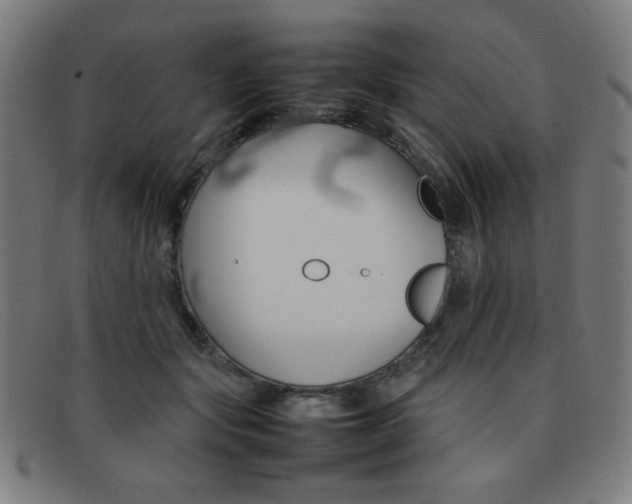 X0000092100557200709121112