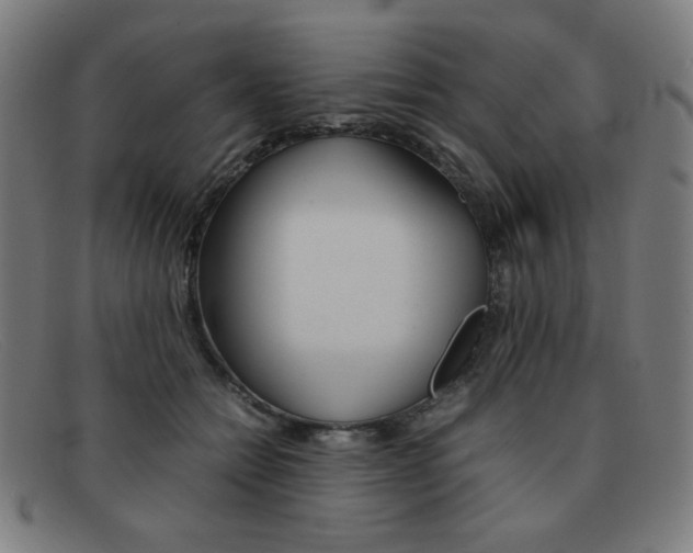 X0000092100558200709121112