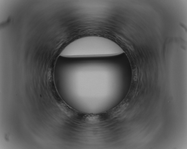 X0000092100560200709121112