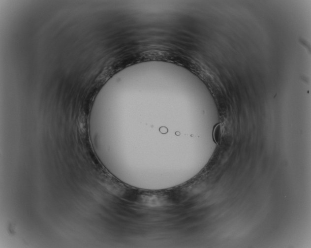 X0000092100561200709121112