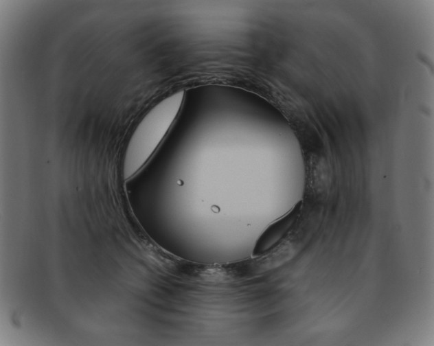 X0000092100562200709121112