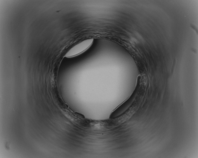 X0000092100564200709121112