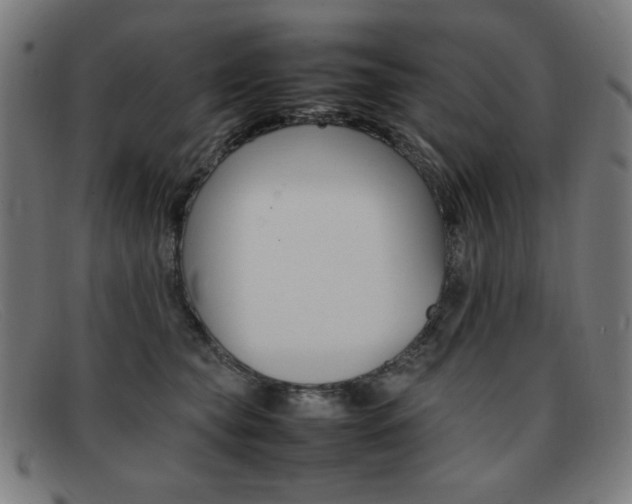 X0000092100565200709121112
