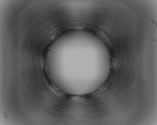 X0000092100568200709121112