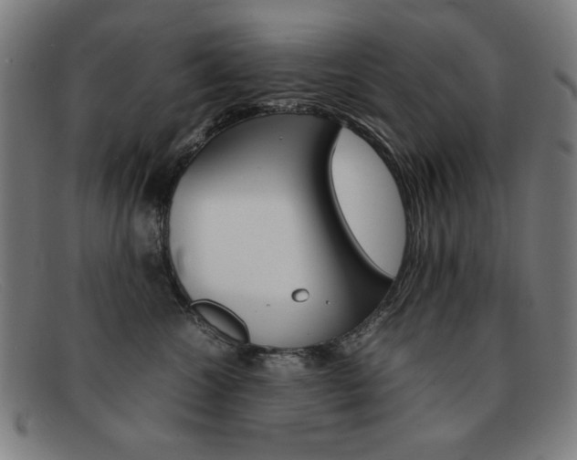 X0000092100572200709121112