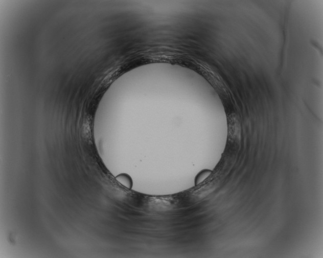 X0000092100573200709121112