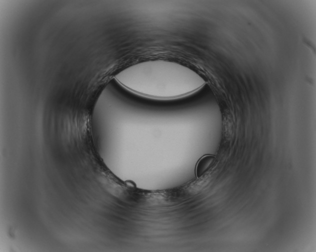 X0000092100574200709121112