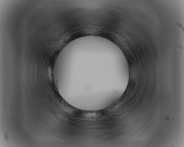 X0000092100575200709121112