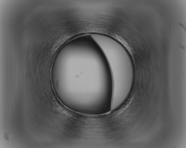 X0000092100577200709121111