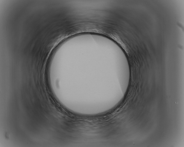 X0000092100579200709121111