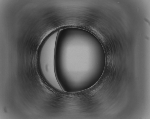X0000092100580200709121111