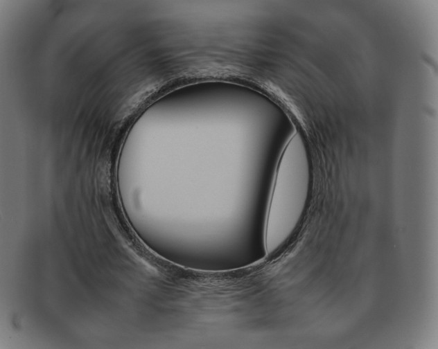 X0000092100581200709121111