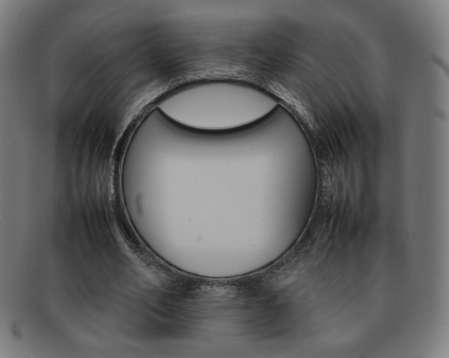 X0000092100582200709121111