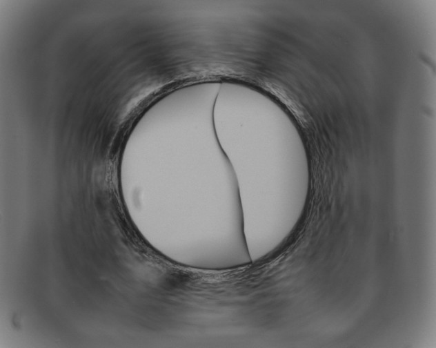 X0000092100583200709121111