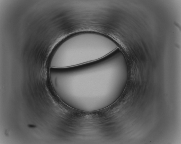 X0000092100584200709121111