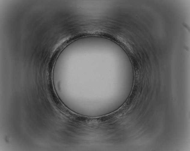 X0000092100587200709121111