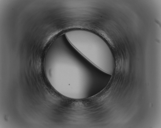 X0000092100588200709121111