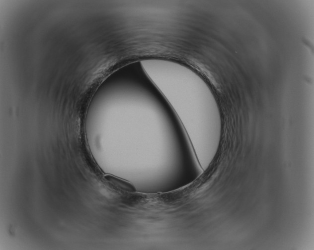 X0000092100589200709121111