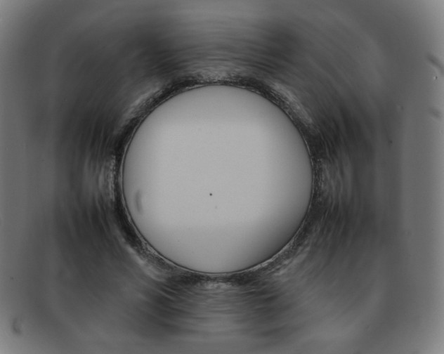 X0000092100590200709121111