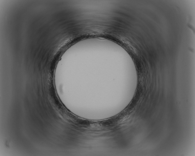 X0000092100591200709121111