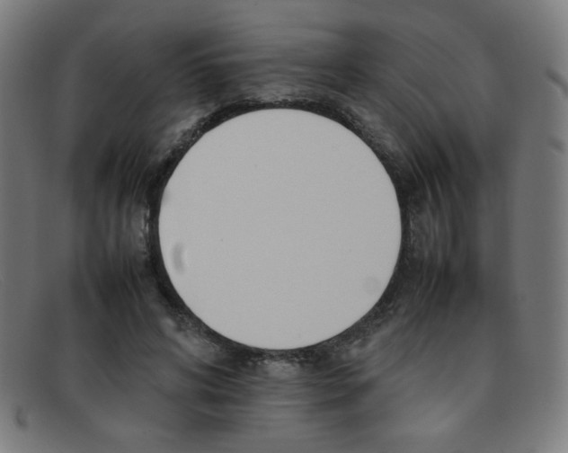 X0000092100592200709121111