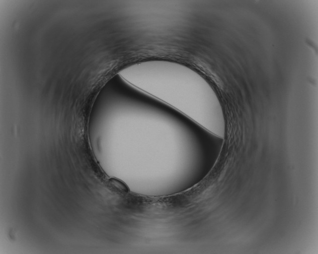 X0000092100593200709121111