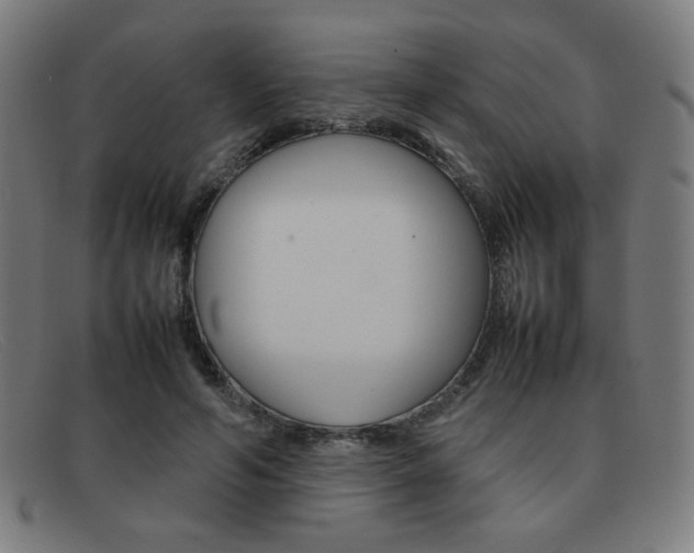 X0000092100594200709121111