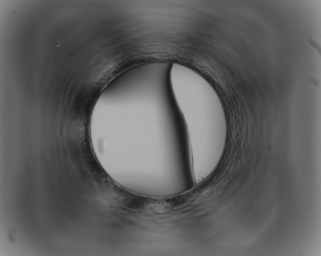X0000092100595200709121111