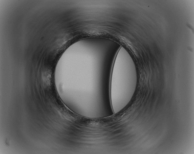 X0000092100596200709121111