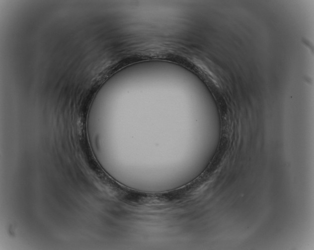 X0000092100597200709121111