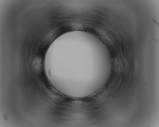 X0000092100598200709121111