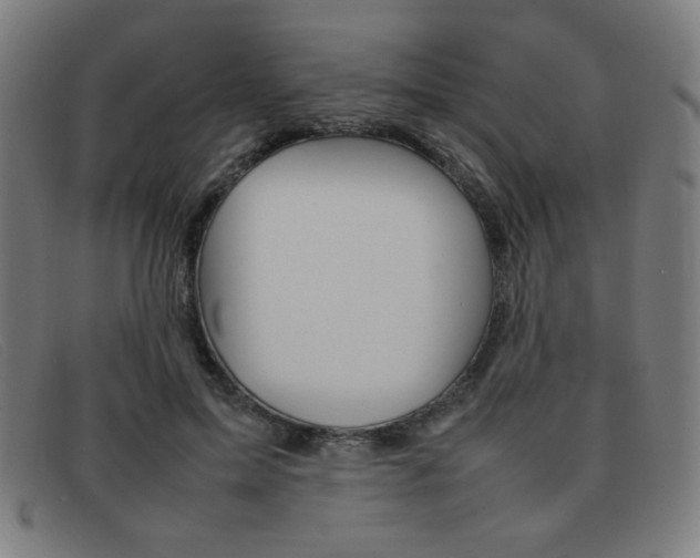 X0000092100599200709121111