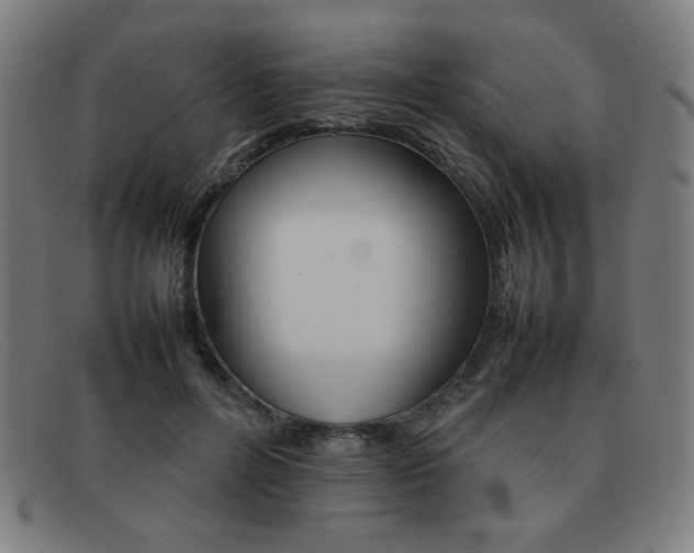 X0000092100600200709121111