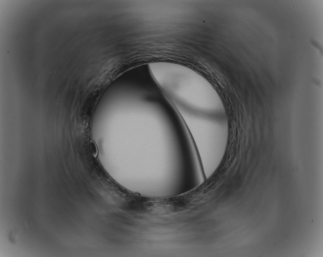 X0000092100601200709121111