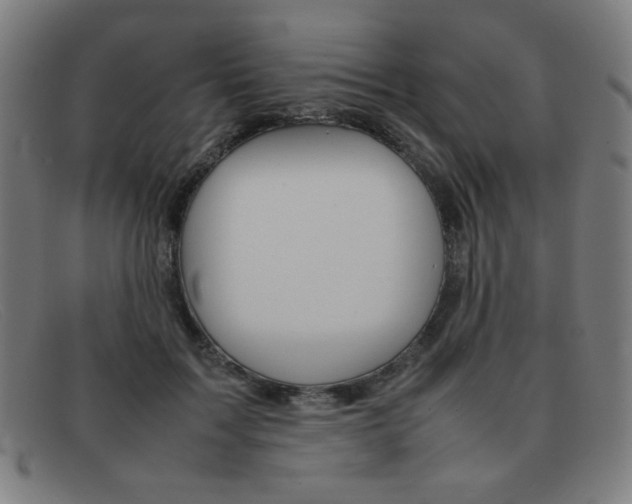 X0000092100603200709121111