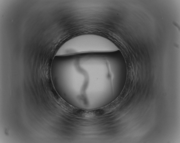 X0000092100604200709121111