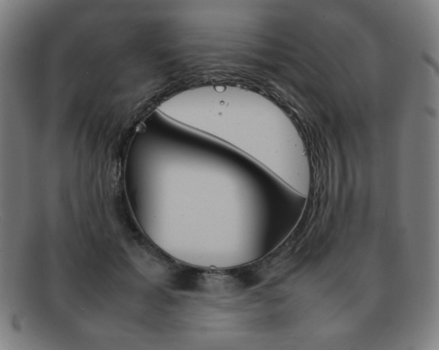 X0000092100605200709121111