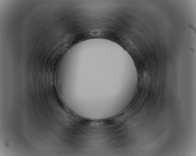 X0000092100606200709121111