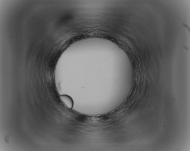 X0000092100607200709121111