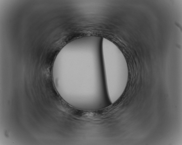 X0000092100611200709121111